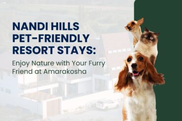 pet-friendly resorts near Nandi Hills